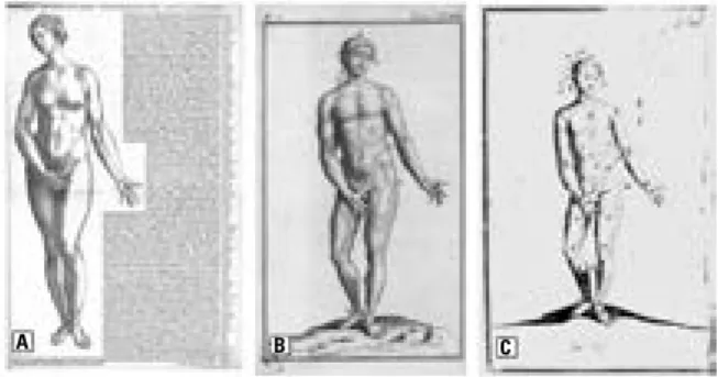 Figure 4. A. Palfin (1650–1730) “Anatomie chirurgicale ou descrip- descrip-tion exacte des parties du corps humain” 1753 [33]; B