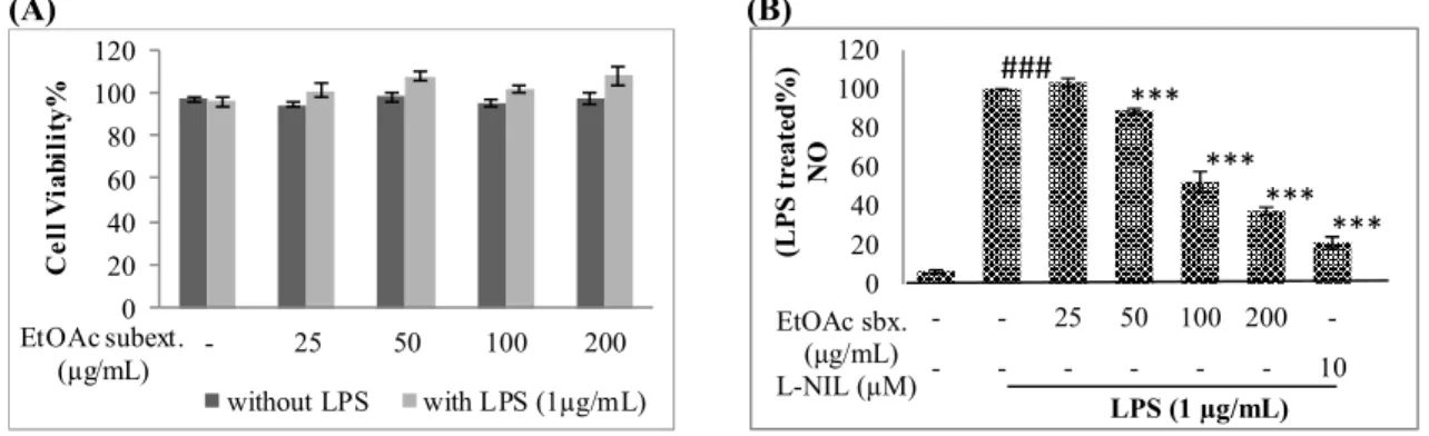 Figure 3. The effects of  N. oleander EtOAc extract  on cell viability (A) and NO  production (B) of  LPS  induced  Raw  264.7  cells