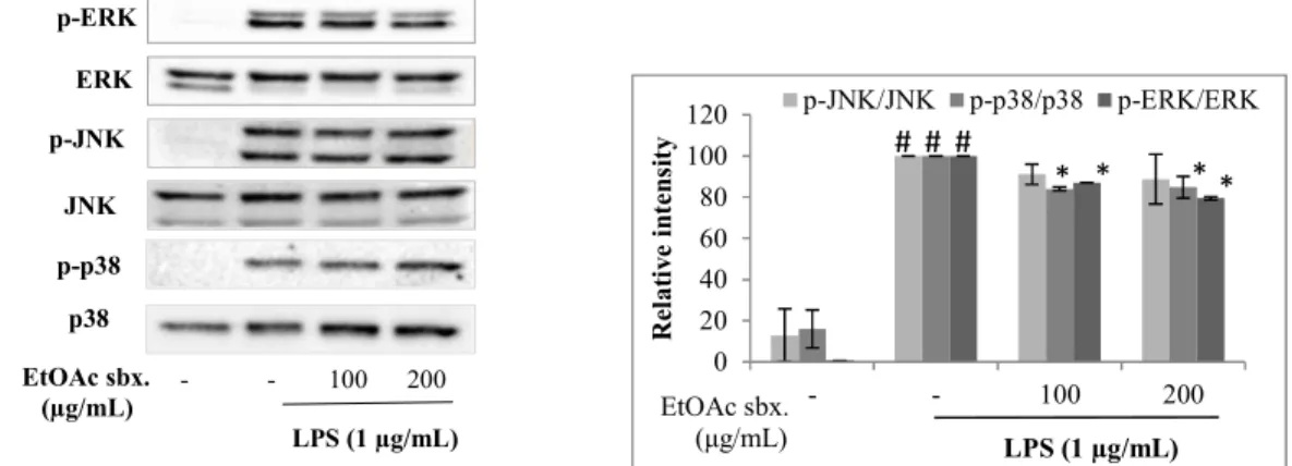 Figure 5. Effects of N. oleander EtOAc subextract on phosphorylation levels of MAP kinases on LPS  induced  Raw  264.7  macrophages