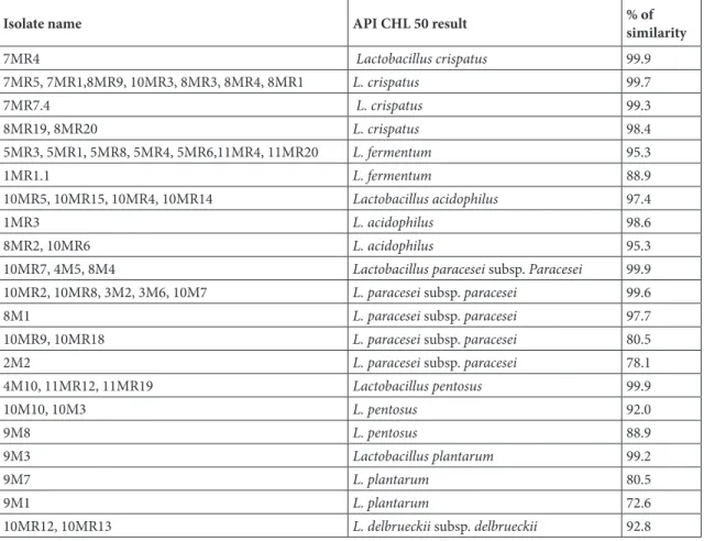 Table 2. Identification of lactic acid bacteria with API CHL 50 system.