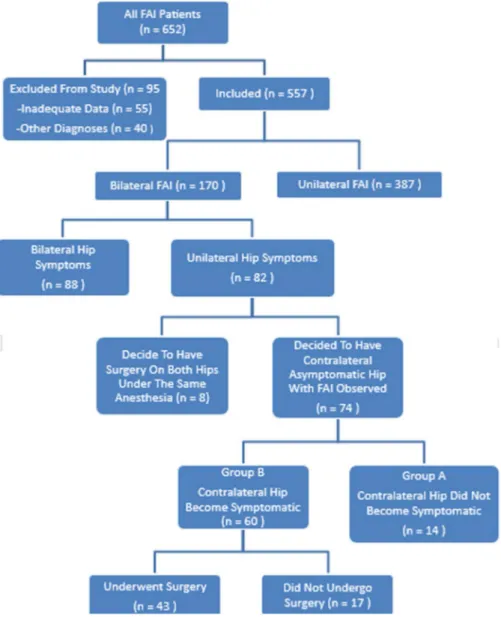 Fig. 1 The ﬂow diagram depicts the study sample.