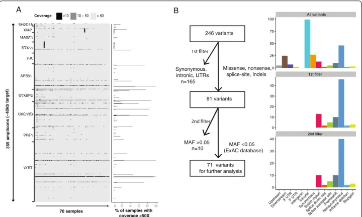 Fig. 1 Analysis of coverage efficiency and variant filtering strategy. a Heatmap indicating coverage for each individual amplicon (355 amplicons) in each patient sample