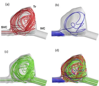 FIG. 3. Velocity streamlines inside the atrium at flow rate of 120 mL/min/kg. Streamlines are color coded to show their  ori-gin from different inlets