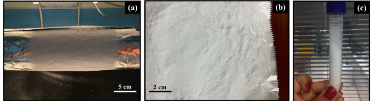 Figure 7b shows the characteristic peaks of PCBB3 hollow microparticle samples loaded with AMX and pure AMX