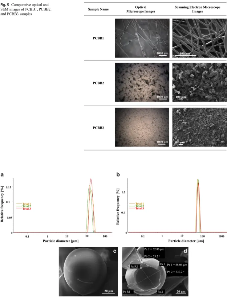 Fig. 5 Comparative optical and SEM images of PCBB1, PCBB2, and PCBB3 samples