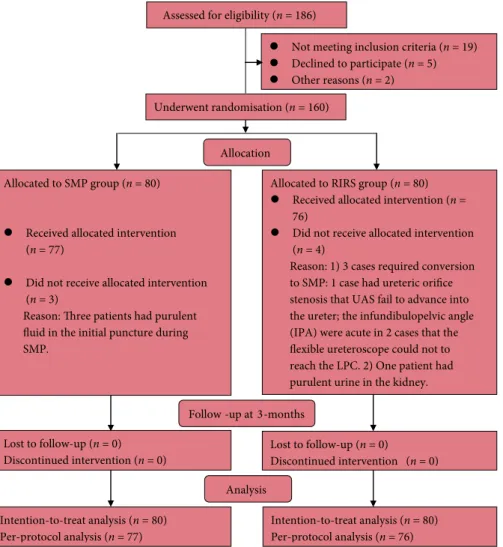 Fig. 1 Flow diagram showing study recruitment. UAS, ureteric access sheath.