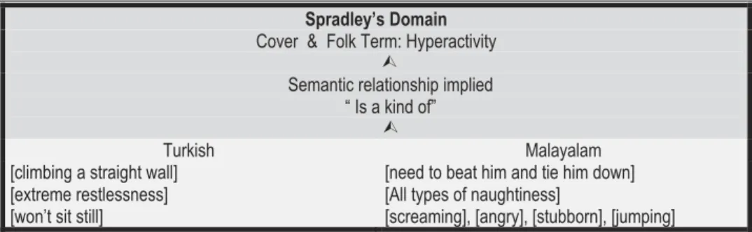 Figure 2. Domain analysis (Spradley, 1980) of parents ’ illustrations of the signs of hyperactivity.