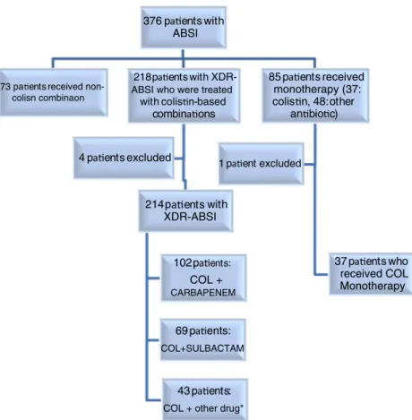 Fig. 1 A consort diagram showing the number of included and excluded patients