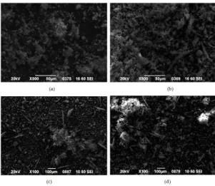 Figure 4. Morphology of β-CD complexes containing: (a) 5%; (b) 10%; (c) 15%; and (d) 20 wt % VRCZ