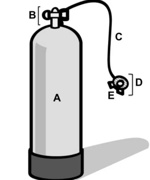 Figure 1. Diving tank and the regulator are the most important  components  of  SCUBA  equipment  (A,  diving  tank;  B,  first  stage of the regulator; C, flexible low-pressure hose; D, second  stage of the regulator; E, mouth piece) 