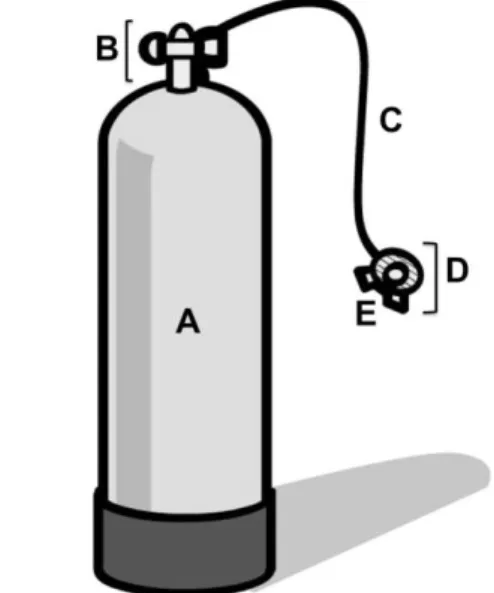 Figure 1. Diving tank and the regulator are the most important  components  of  SCUBA  equipment  (A,  diving  tank;  B,  first  stage of the regulator; C, flexible low-pressure hose; D, second  stage of the regulator; E, mouth piece) 