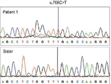 Figure 2. A schematic diagram of the functional domains of the AIRE  protein and the location of R257X and selected other missense and  nonsense mutations