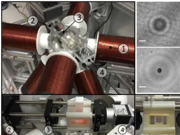 Fig. 1. Digital in-line holography integrated with an electromagnetic manipulation system  1 [5]