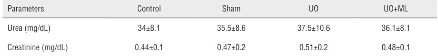 Table 1 - Effects of UO alone and its combination with ML on plasma urea, creatinine levels in rats.