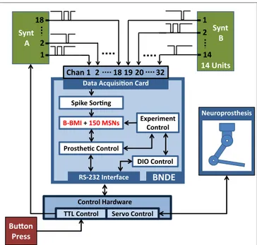 FigUre 10 | The stress test platform. For the stress test, an additional   14 channel neural signal synthesizer (Synt-B) and 150 MSNs are added into  the closed-loop simulation paradigm shown in Figure 7a.