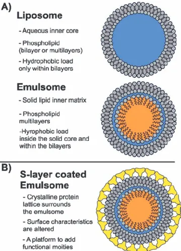 Table 1.  Summary of the main advantages of  emulsomal for- for-mulations. 