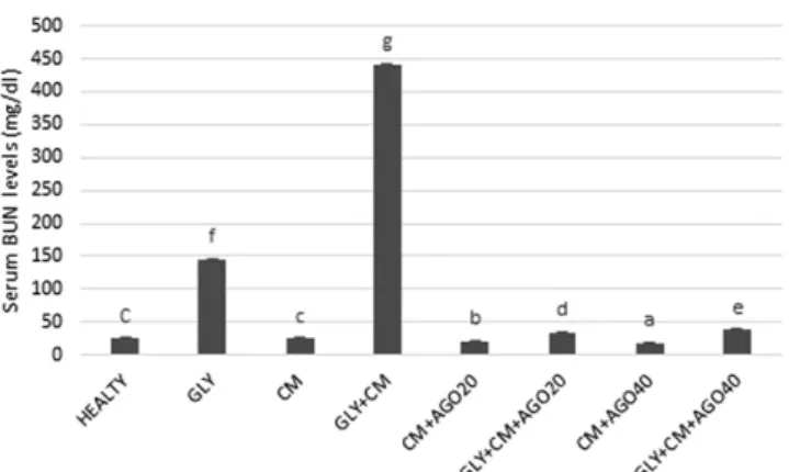 Figure 2. The serum blood urea nitrogen (BUN) levels (mg dl 21 ) of all the experimental groups