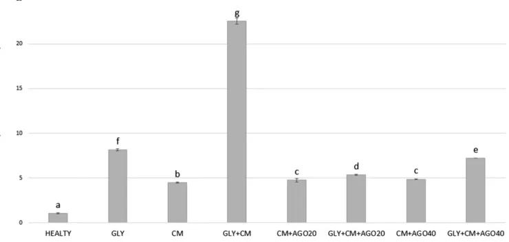 Figure 8. The tissue NF k-b messenger RNA (mRNA) expression of all the experimental groups