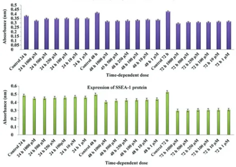 Figure 3. Changes in SSEA‑1 protein levels and MTT assay results providing information on cell viability, toxicity and proliferation.