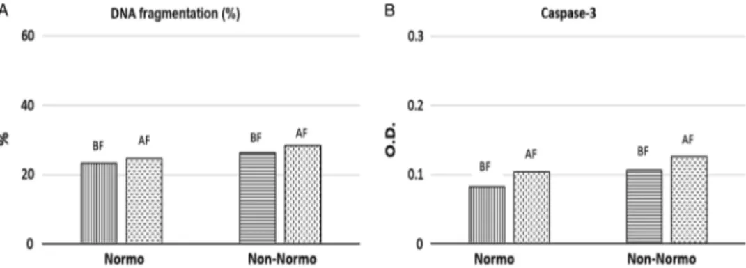 Figure 1. DNA fragmentation rates (A) and caspase-3 activation levels (optical density, OD) (B), in normozoospermic or non-normozoospermic patients