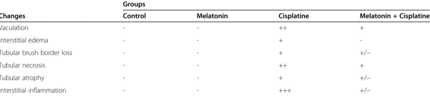 Table 2 The effect of melatonin administration on morphological changes as assessed by histological analysis of kidneys in rats ( n = 10)