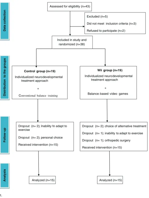 Fig. 1 Study ﬂow chart.