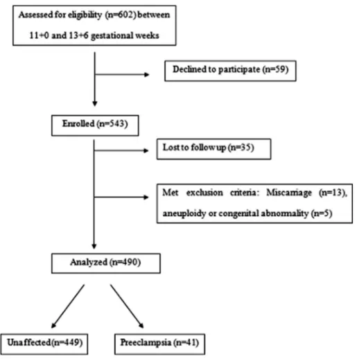 Fig. 1. Flow diagram of the study.