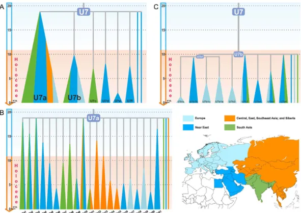 Figs 1B and 2B, Supplementary Figure S1). U7b exhibits a higher frequency than U7a in Europe with elevated  levels of diversity in the Mediterranean and southeastern regions (Figs 1C and 2C and Supplementary Figure S1)