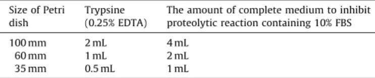 Fig. 5. Morphological evaluations of surface.