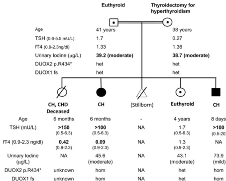 Figure 1. Pedigree diagram summarizing clinical phenotype and genotype. Black: