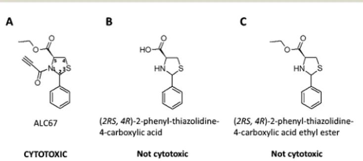 Fig. 1 (A) The molecular structure of the cytotoxic ALC67. (B) The carboxylic acid precursor of ALC67, which exhibits no cytotoxicity