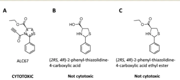 Fig. 1 (A) The molecular structure of the cytotoxic ALC67. (B) The carboxylic acid precursor of ALC67, which exhibits no cytotoxicity