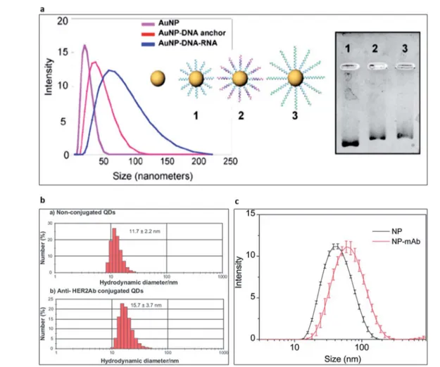 Fig. 5 Circular dichroism spectra of aptamer-conjugated luminescent nanoparticles. Reprinted from ref