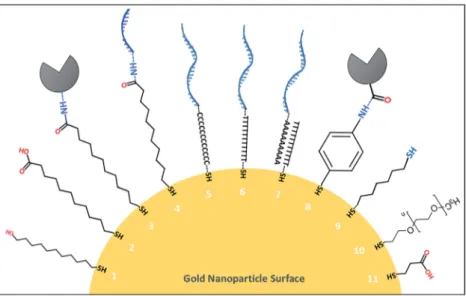 Table 3 Examples of streptavidin –biotin interactions that were used to functionalize nanoparticle surfaces for biosensing applications (2015–