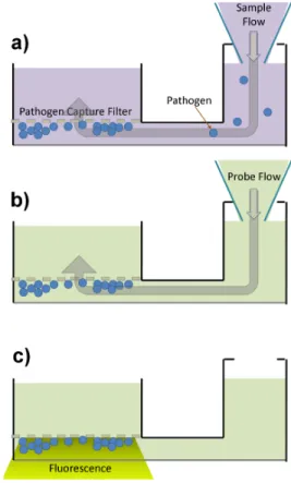 FIGURE 5. Microfluidic principle of operation. a) sample insertion.