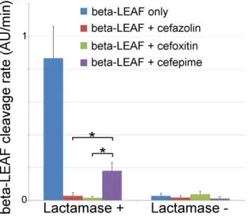Fig. 8). The rate of β-LEAF cleavage was found to decrease dramatically with the addition of a cephalosporin, indicating
