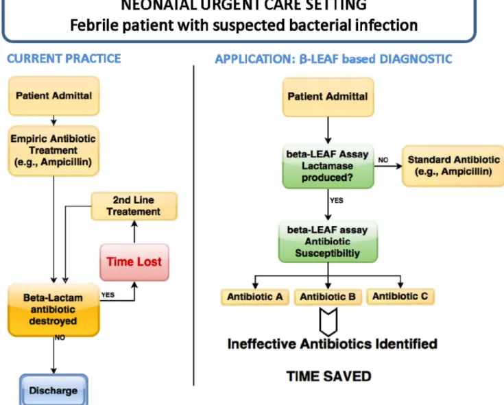 FIGURE 11. Application of microfluidic β-LEAF assay. One scenario for use is presented, comparing the current practice with potential future application.