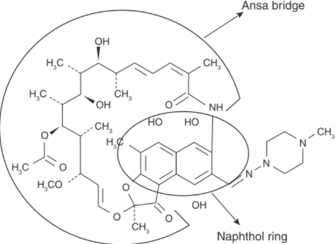Figure 1. Structural formula of rifampicin, including the ansa bridge and naphthol ring, with oxygen atoms and hydroxyls (modi ﬁed from Campbell et al