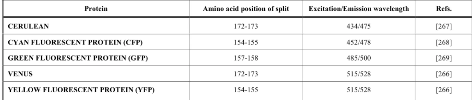 Table 3.  Common proteins used for Biomolecular Fluorescence Complementation (BiFC) 