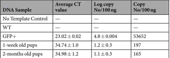 Table 1.  Real-time PCR analysis of brain of sucklings. Genomic DNA was extracted from the brain tissue of  pups and qPCR was performed