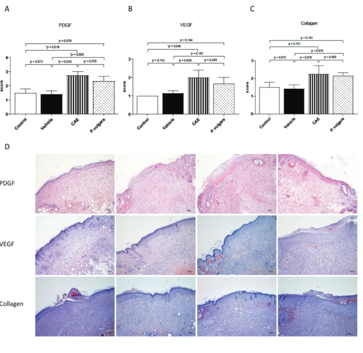 Figure 3. A, B, C, Comparison of immunohistochemistry collagen, PDGF and VEGF wound healing scores among groups