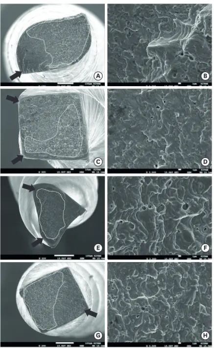 Figure 1. The scanning electron microscope (SEM) images of the tested file's fractured surface