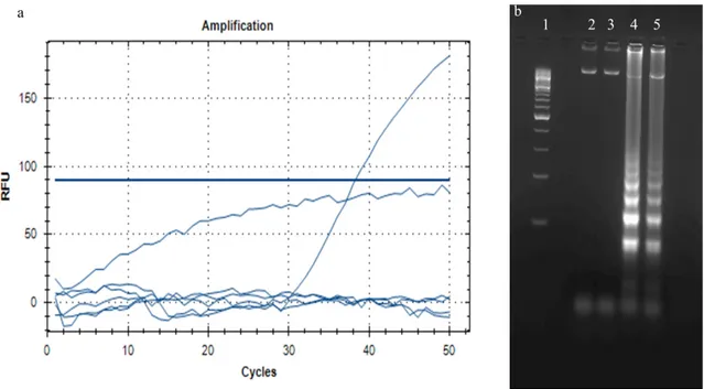 Figure 3. RT-PCR results of thermal stability of lyophilized mixtures