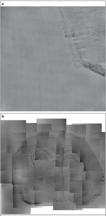 Figure 6. a, b. (a) A quantitative phase image from the lower left  corner of mouse brain tissue section, (b) Manually aligned and  stitched quantitative phase images of mouse brain tissue section  that covers the entire surface