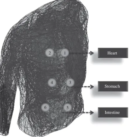 Figure 7.11  Measurement locations on human cadaver. ©2015 IEEE. Reprinted  with permission from Reference 20 