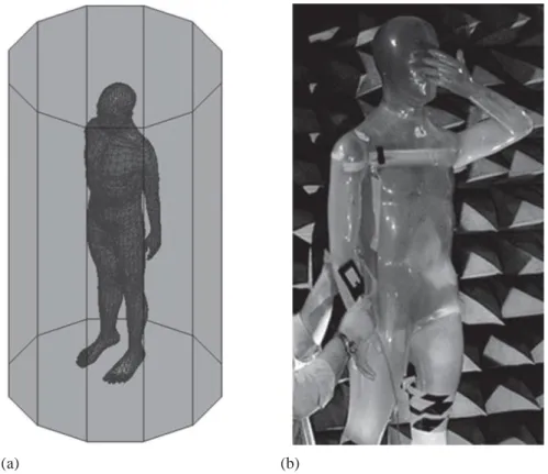 Figure 7.3   Heterogeneous human body models: (a) HFSS ®   model [19] and  (b) physical phantom [14]