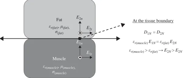 Figure 7.5  EM propagation through tissue interface. ©2016 IEEE. Reprinted with  permission from Reference 55 