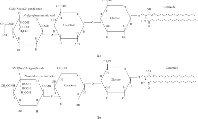 Figure 1: Chemical structures of NeuGcGM3 and NeuAcGM3 [1].