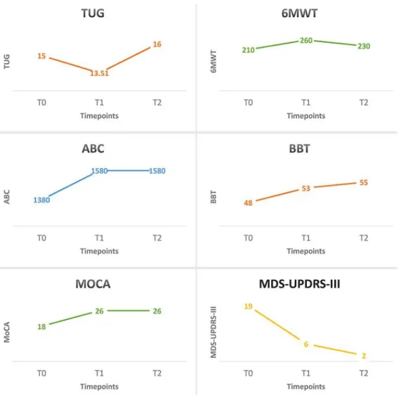 Fig. 1.  Test performances at the different time points: T0, 1 week before the intervention; T1, 1 week after  the intervention; T2, 1 year after the intervention