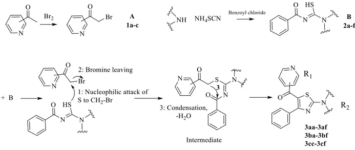 Figure 2. Synthesis of the target compounds.
